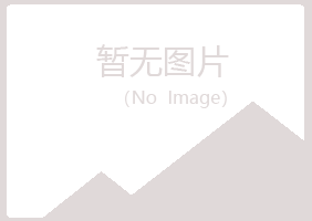 伊宁县山柏工程有限公司